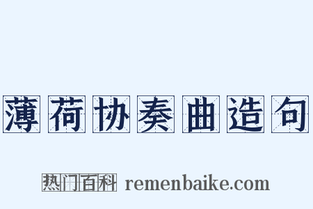 薄荷协奏曲造句是什么意思的图片